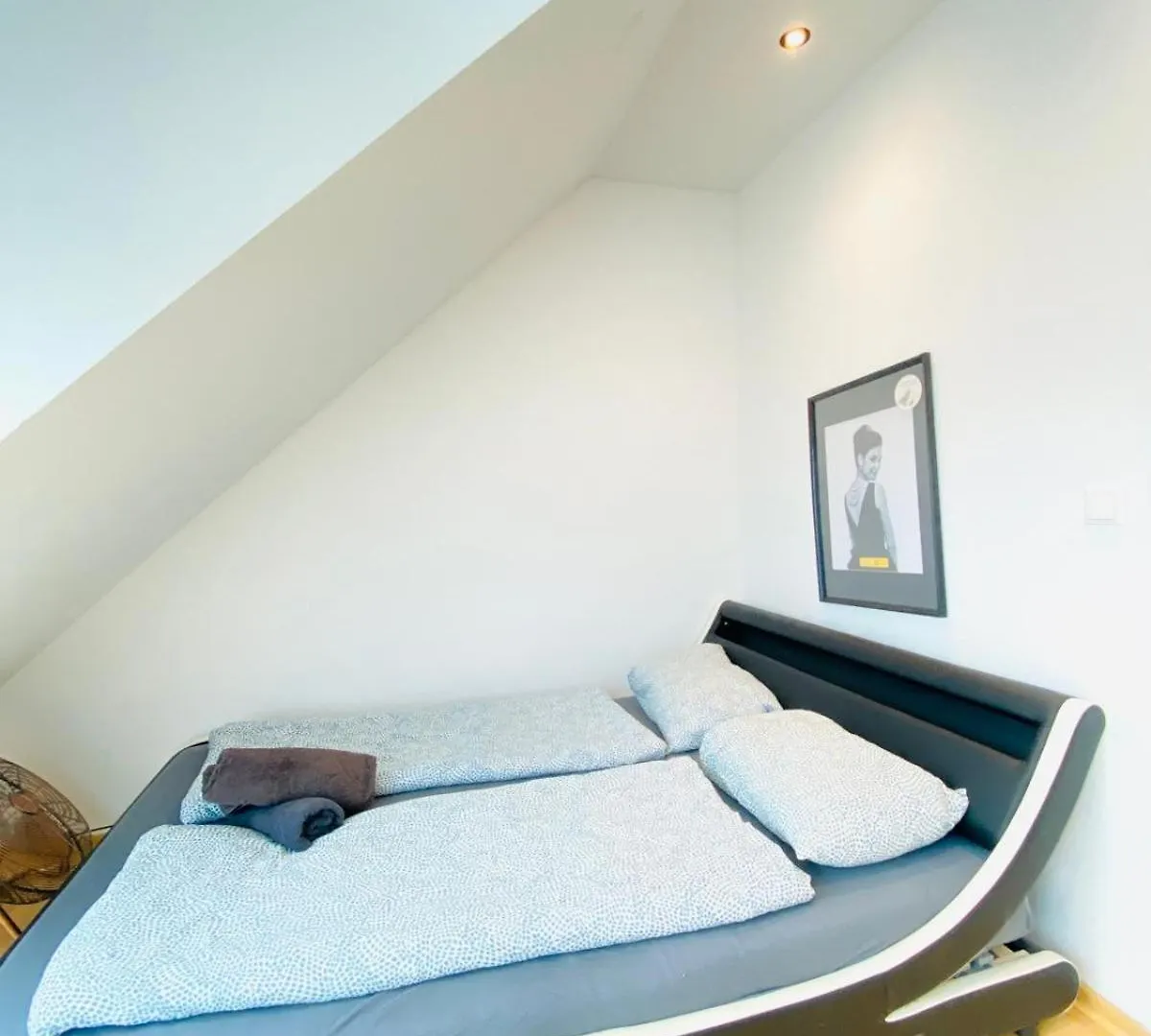 Comfy Central 4-Bedroom Shared Apartment With Two Levels Vienna